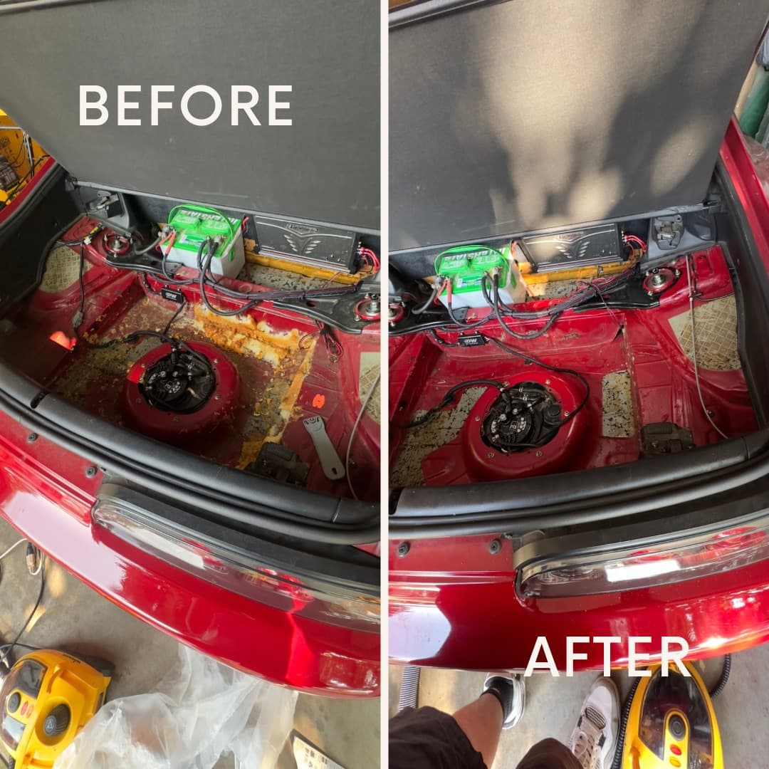 Full Trunk Cleanout